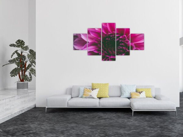 Obraz růžového květu (125x70 cm)