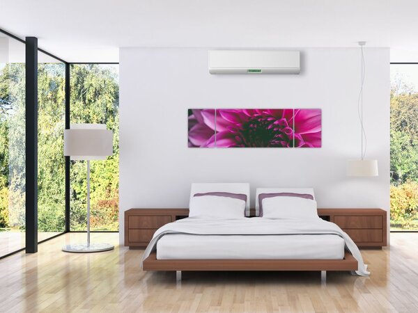 Obraz růžového květu (170x50 cm)