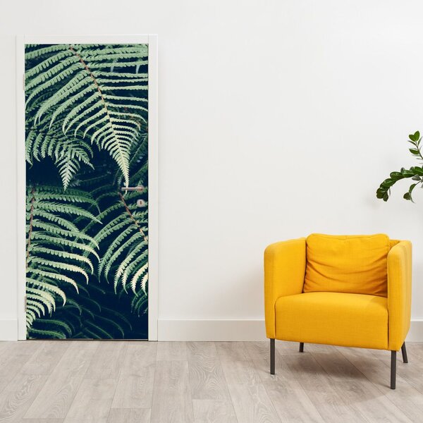 Fototapeta na dveře - Listy kapradin (95x205cm)