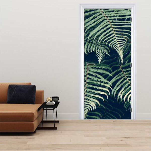 Fototapeta na dveře - Listy kapradin (95x205cm)