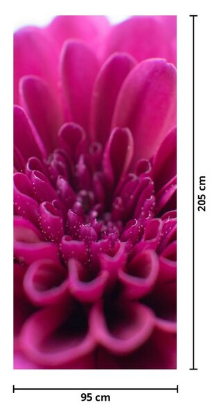 Fototapeta na dveře - Květina (95x205cm)