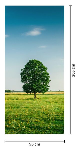 Fototapeta na dveře - Strom na louce (95x205cm)