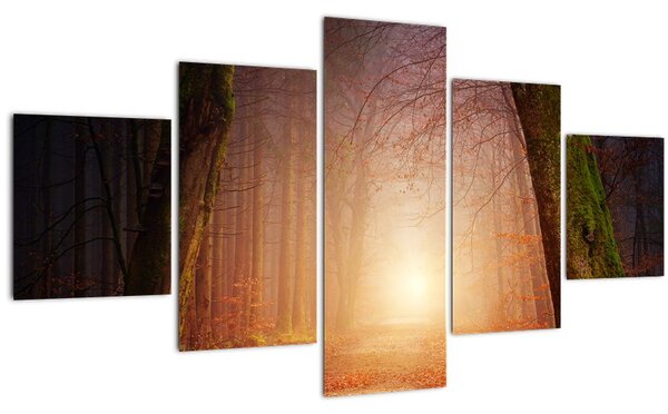 Obraz podzimního lesa v mlze (125x70 cm)