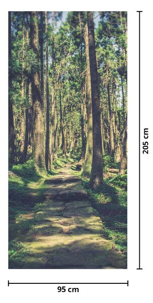Fototapeta na dveře - Cesta mezi stromy (95x205cm)