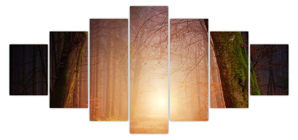 Obraz podzimního lesa v mlze (210x100 cm)