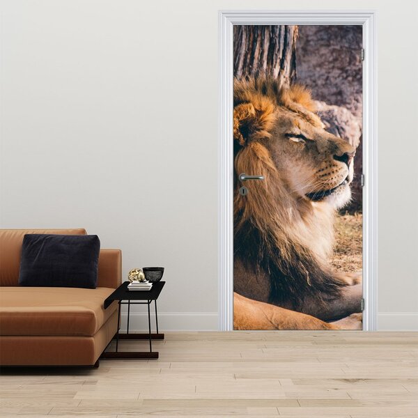 Fototapeta na dveře - Ležící lev (95x205cm)