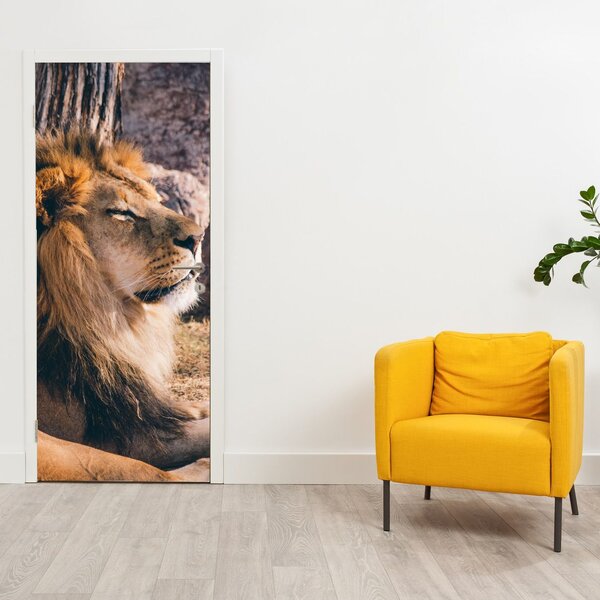 Fototapeta na dveře - Ležící lev (95x205cm)