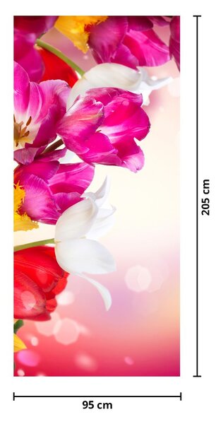 Fototapeta na dveře - Tulipány (95x205cm)