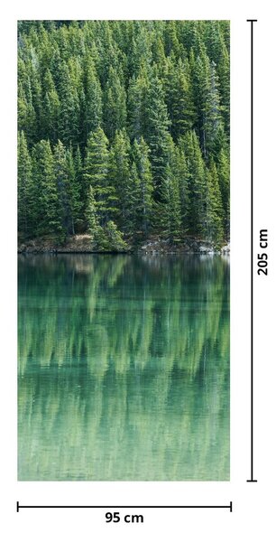 Fototapeta na dveře - Jehličnany u jezera (95x205cm)