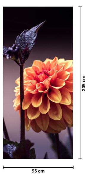 Fototapeta na dveře - Kvítek (95x205cm)