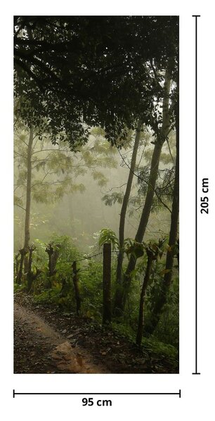 Fototapeta na dveře - Ranní mlha (95x205cm)