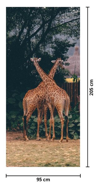 Fototapeta na dveře - Dvě Žirafy (95x205cm)