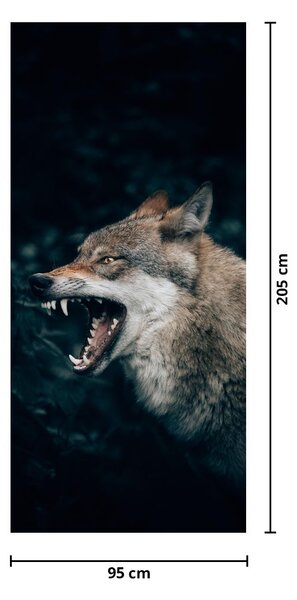 Fototapeta na dveře - Vlk (95x205cm)