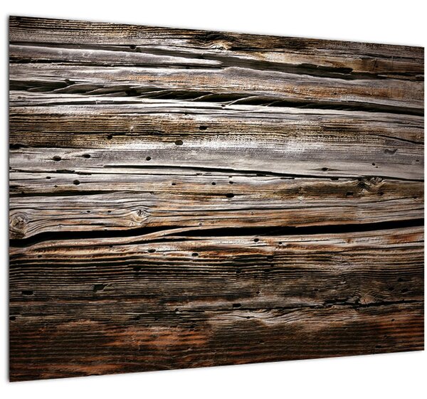Obraz - sezónní dřevo (70x50 cm)