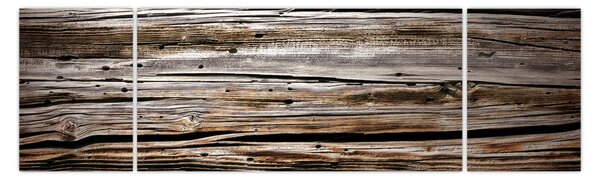 Obraz - sezónní dřevo (170x50 cm)
