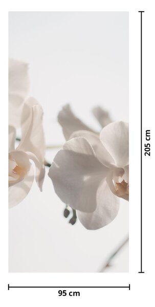 Fototapeta na dveře - Bílé orchideje (95x205cm)