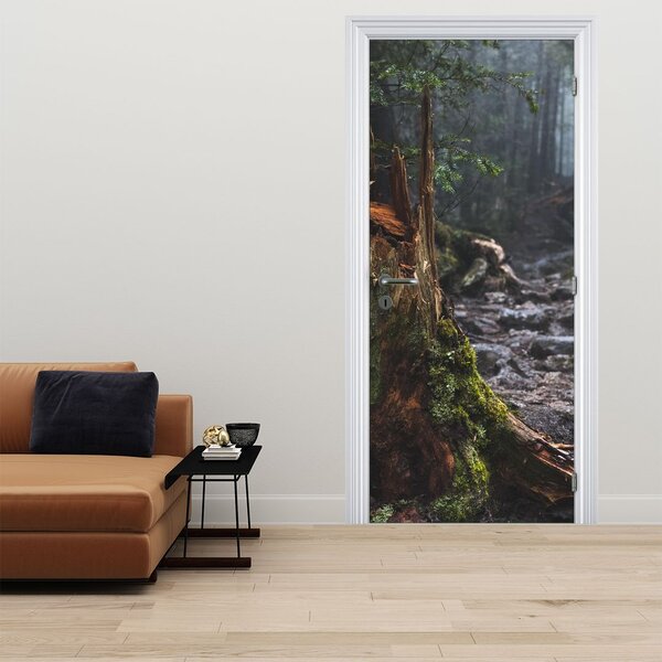 Fototapeta na dveře - V lese (95x205cm)