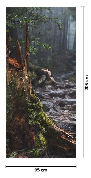 Fototapeta na dveře - V lese (95x205cm)
