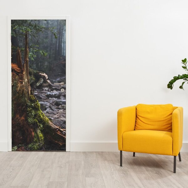 Fototapeta na dveře - V lese (95x205cm)