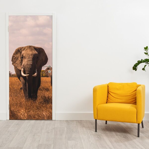 Fototapeta na dveře - Příchod slona (95x205cm)
