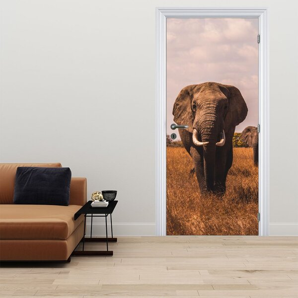 Fototapeta na dveře - Příchod slona (95x205cm)