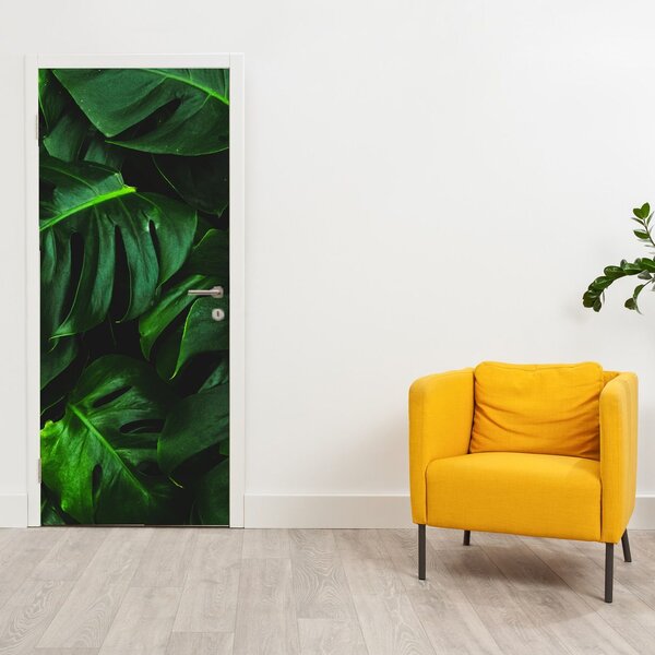Fototapeta na dveře - Listy Monstery (95x205cm)