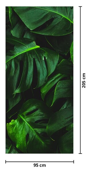 Fototapeta na dveře - Listy Monstery (95x205cm)