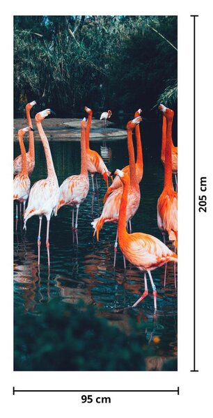 Fototapeta na dveře - Stáda plameňáků (95x205cm)