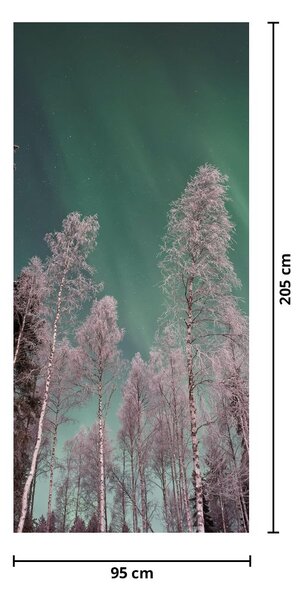 Fototapeta na dveře - Polární záře nad zmrzlými stromy (95x205cm)