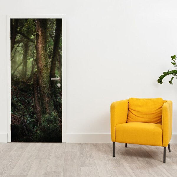 Fototapeta na dveře - Tajemný les (95x205cm)