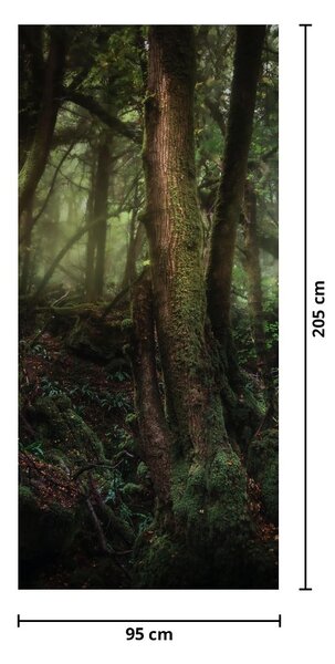 Fototapeta na dveře - Tajemný les (95x205cm)