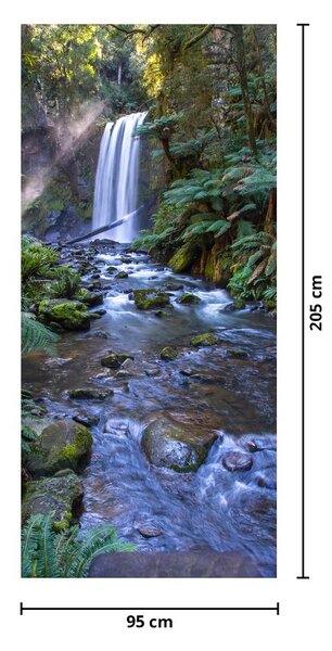 Fototapeta na dveře - Australský deštný les (95x205cm)