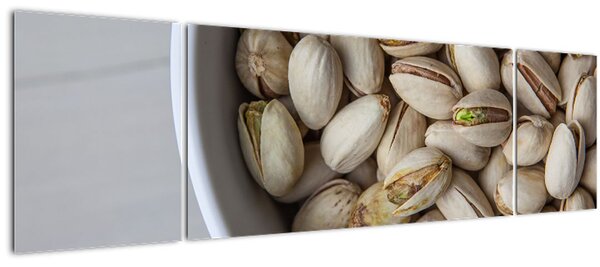 Obraz - pistácie (170x50 cm)