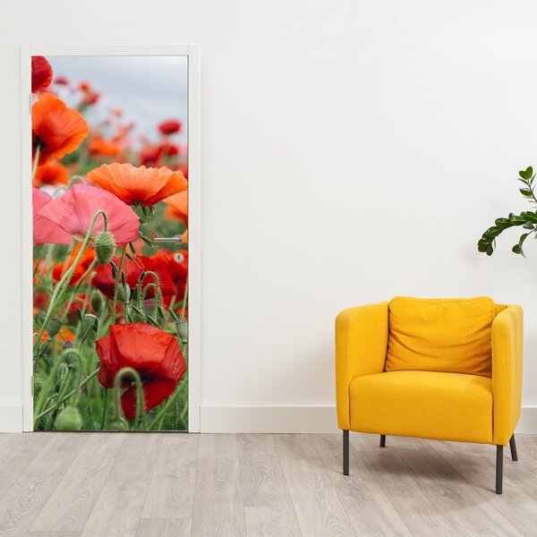 Fototapeta na dveře - Pole vlčích máků (95x205cm)