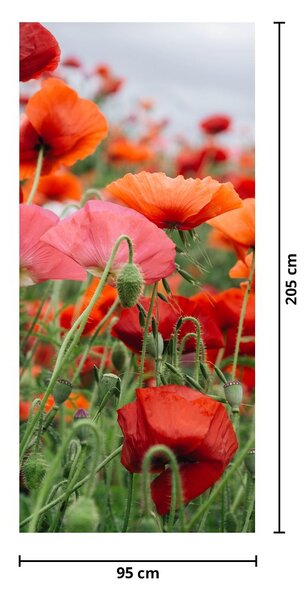 Fototapeta na dveře - Pole vlčích máků (95x205cm)