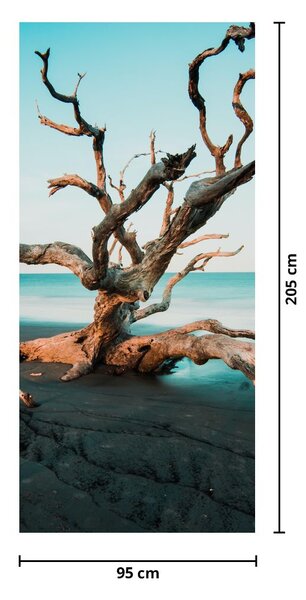 Fototapeta na dveře - Vyplaveno na pláži (95x205cm)