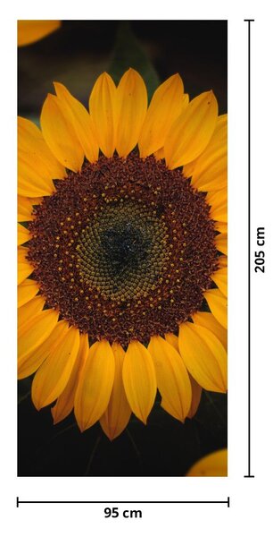 Fototapeta na dveře - Slunečnice a lístky květů (95x205cm)