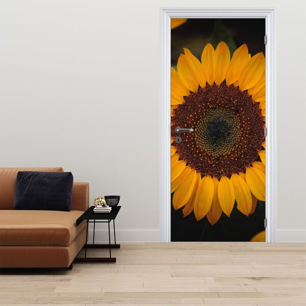 Fototapeta na dveře - Slunečnice a lístky květů (95x205cm)