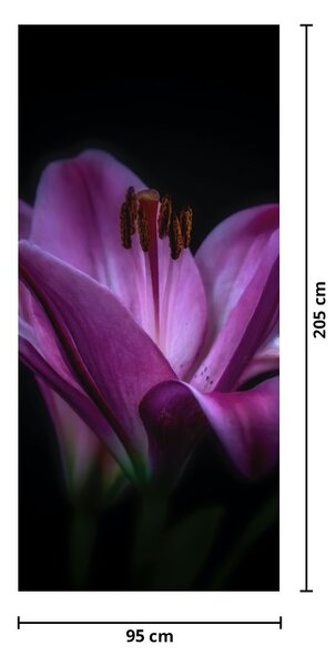 Fototapeta na dveře - Lilie (95x205cm)