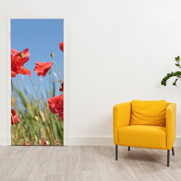 Fototapeta na dveře - Vlčí máky (95x205cm)