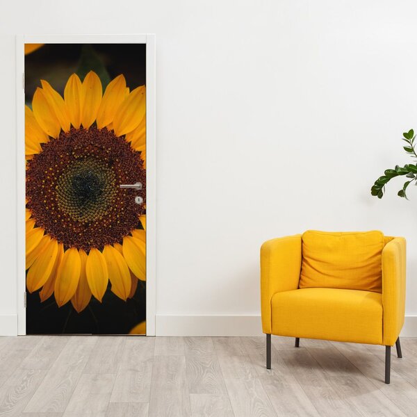 Fototapeta na dveře - Slunečnice a lístky květů (95x205cm)