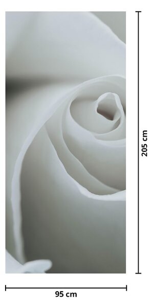 Fototapeta na dveře - Bílá růže (95x205cm)