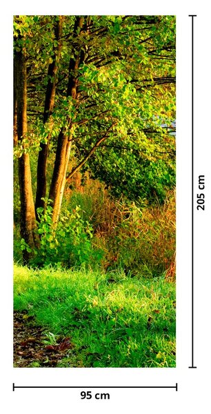 Fototapeta na dveře - Stezka podél vody (95x205cm)