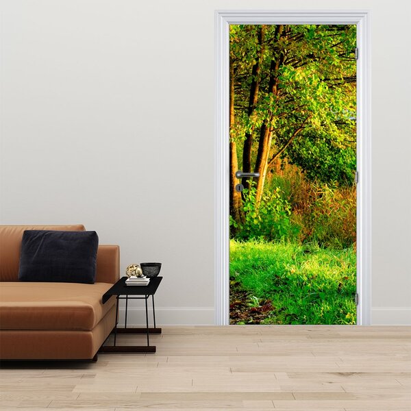 Fototapeta na dveře - Stezka podél vody (95x205cm)