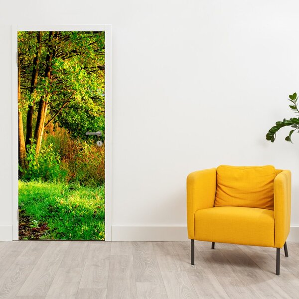 Fototapeta na dveře - Stezka podél vody (95x205cm)