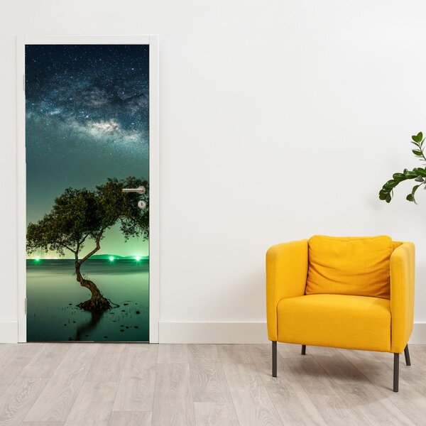 Fototapeta na dveře - Noční nebe (95x205cm)