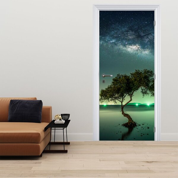 Fototapeta na dveře - Noční nebe (95x205cm)
