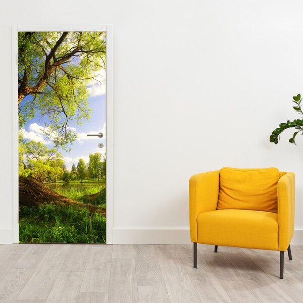Fototapeta na dveře - Jarní louka (95x205cm)