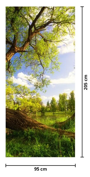 Fototapeta na dveře - Jarní louka (95x205cm)