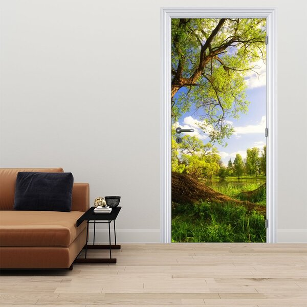 Fototapeta na dveře - Jarní louka (95x205cm)